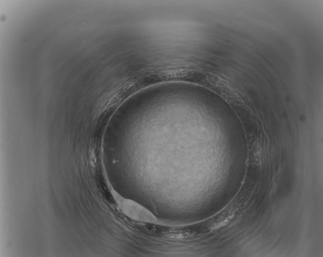 X0000068820746200605121315