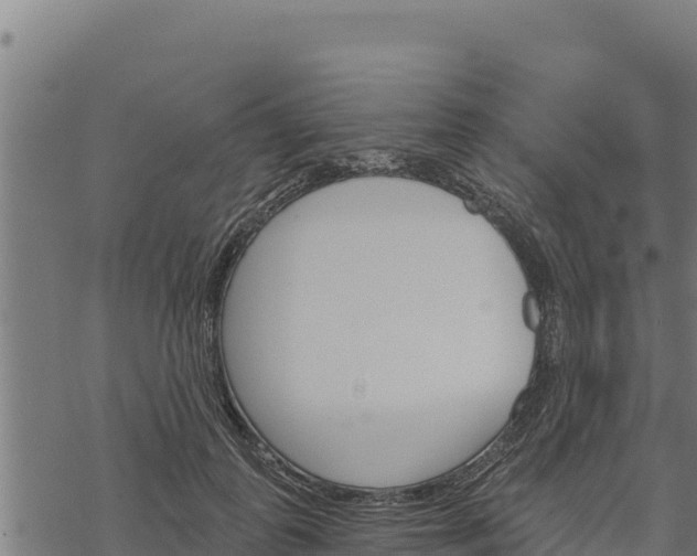 X0000068820747200605121315