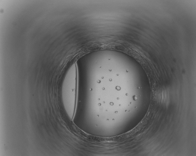 X0000068820748200605121315