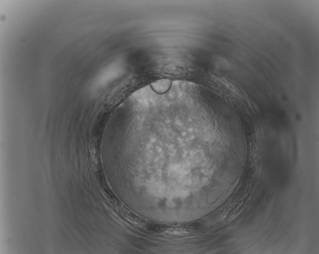 X0000068820749200605121315