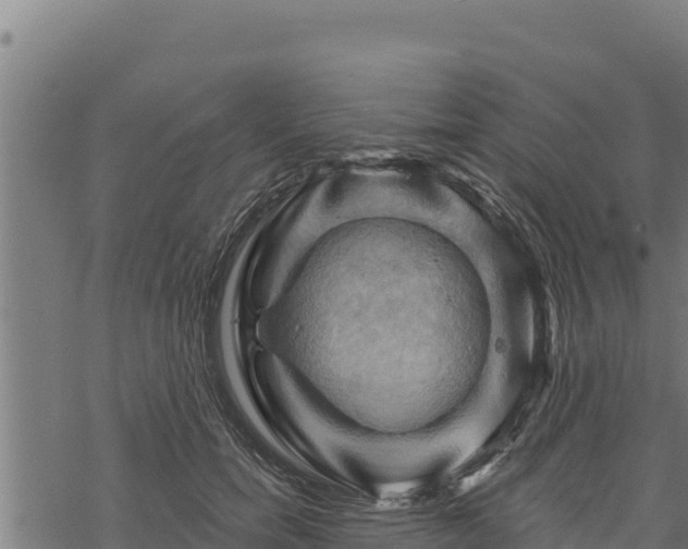 X0000068820750200605121315