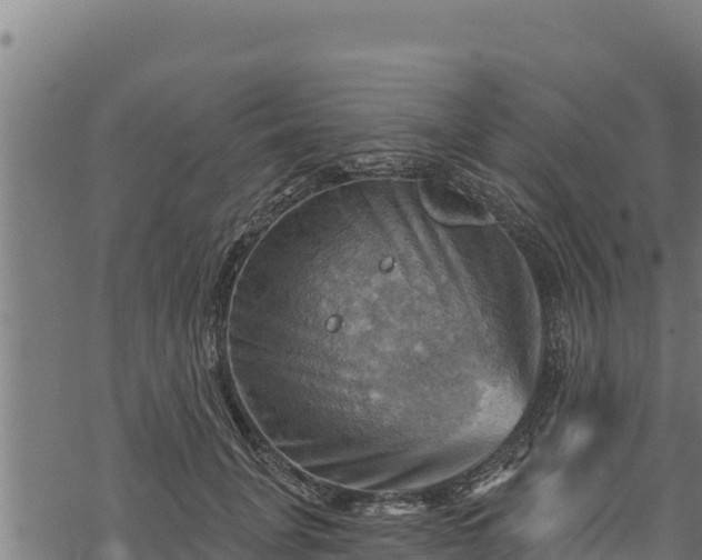 X0000068820751200605121315