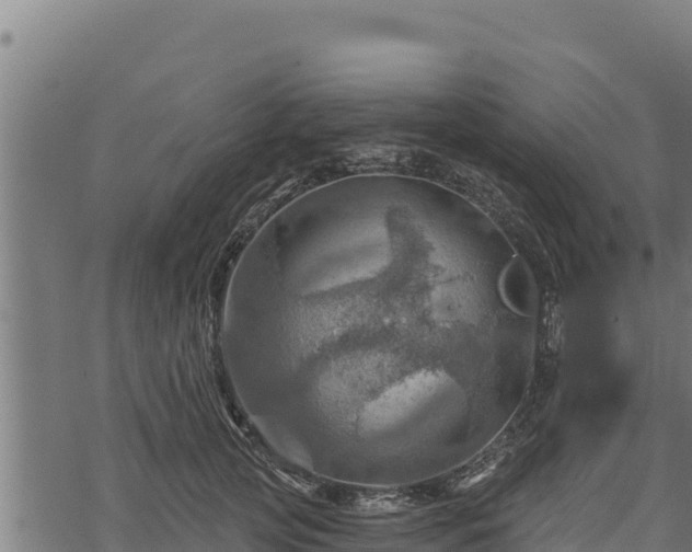 X0000068820753200605121315