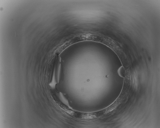 X0000068820754200605121315