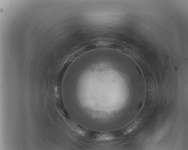 X0000068820755200605121315