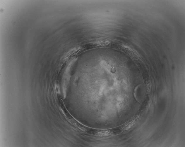 X0000068820757200605121315