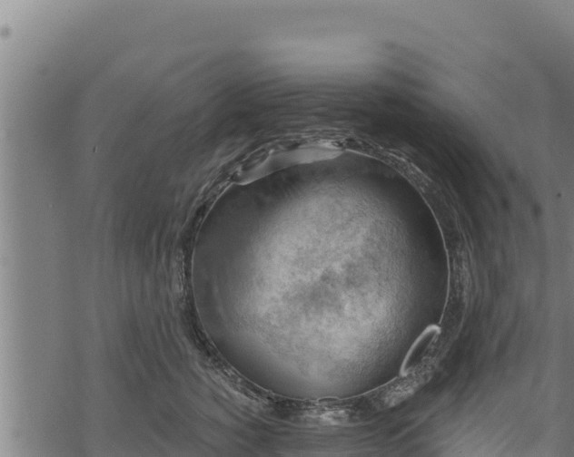 X0000068820760200605121315