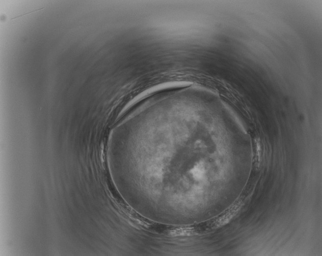 X0000068820761200605121315