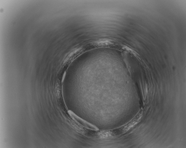 X0000068820762200605121315