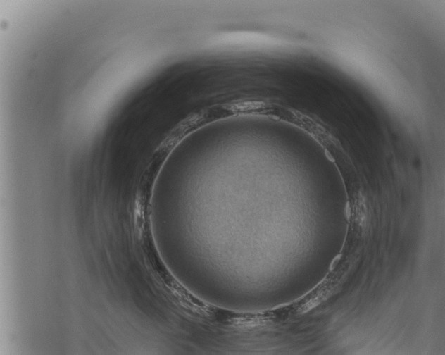 X0000068820763200605121316