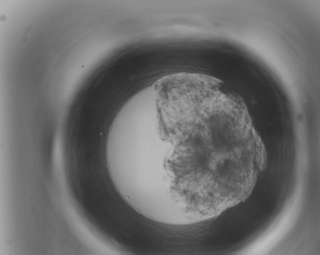 X0000068820765200605121316