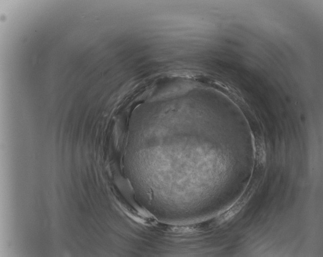 X0000068820766200605121316