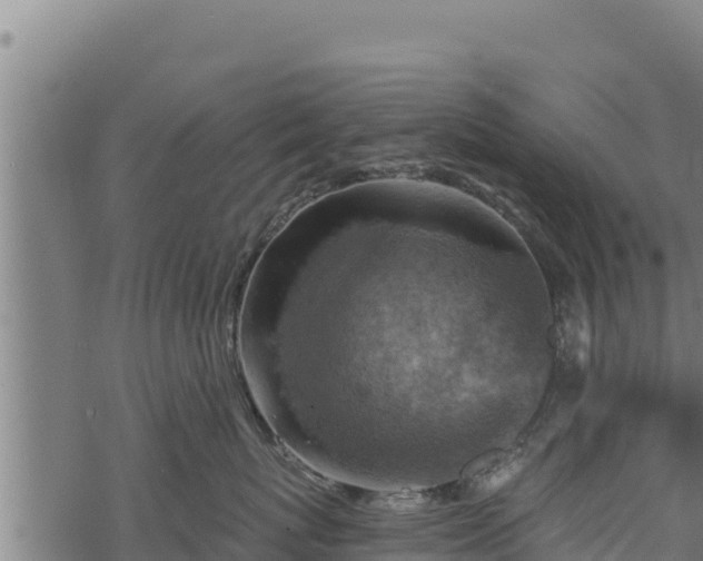 X0000068820767200605121316