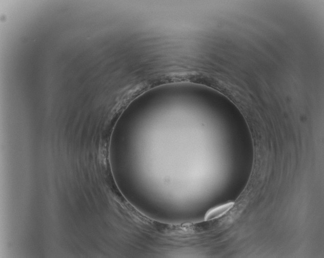 X0000068820768200605121316