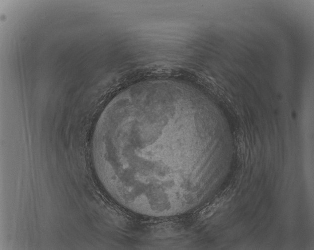 X0000068820769200605121315