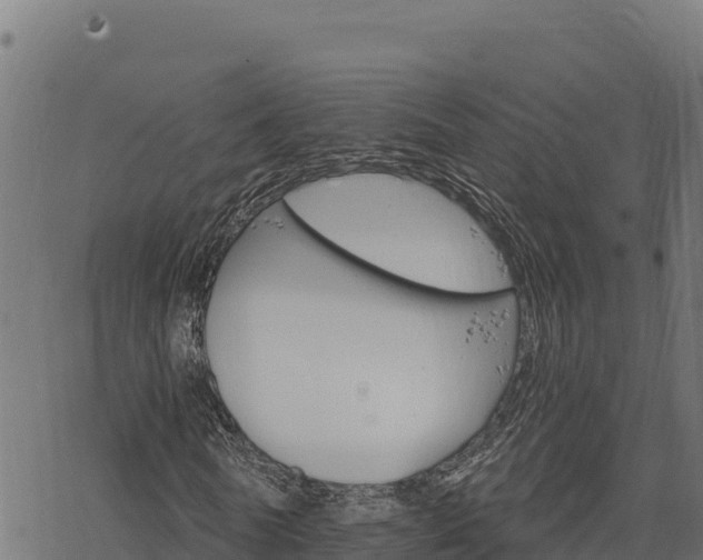 X0000068820770200605121315