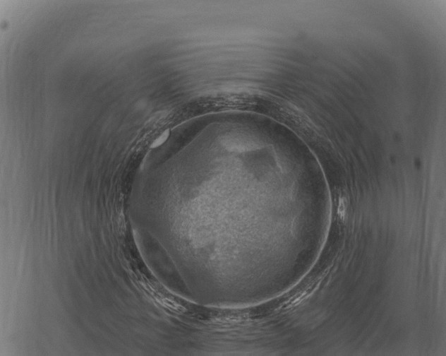 X0000068820771200605121315