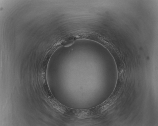 X0000068820772200605121315