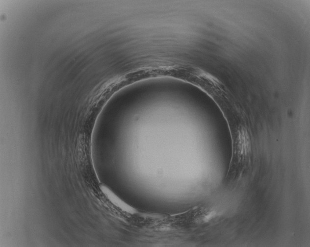 X0000068820773200605121315