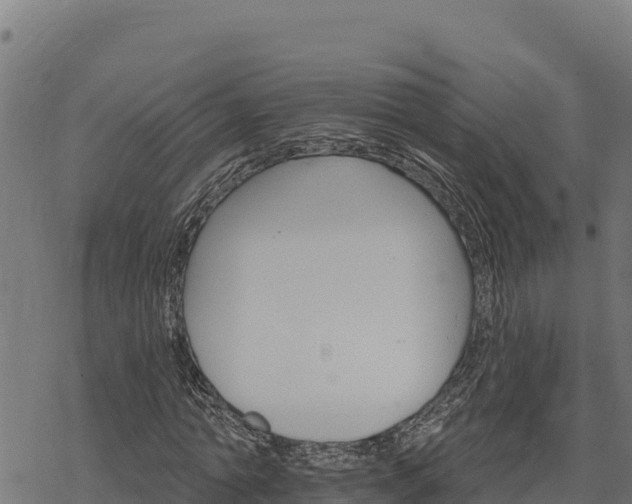 X0000068820774200605121315