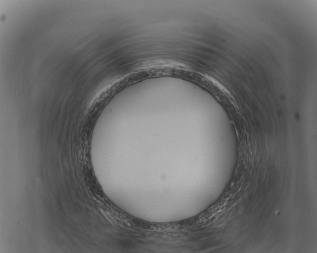 X0000068820775200605121315