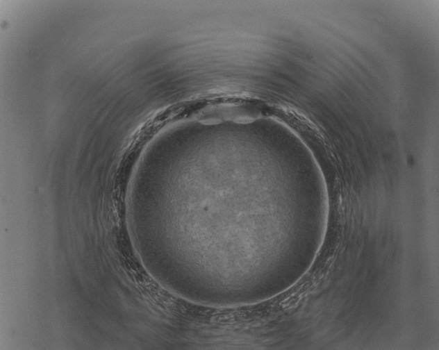 X0000068820776200605121315