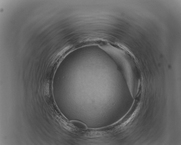 X0000068820777200605121315