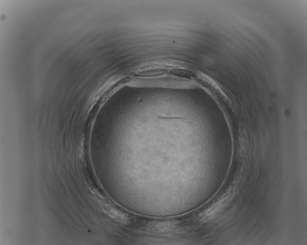 X0000068820778200605121315