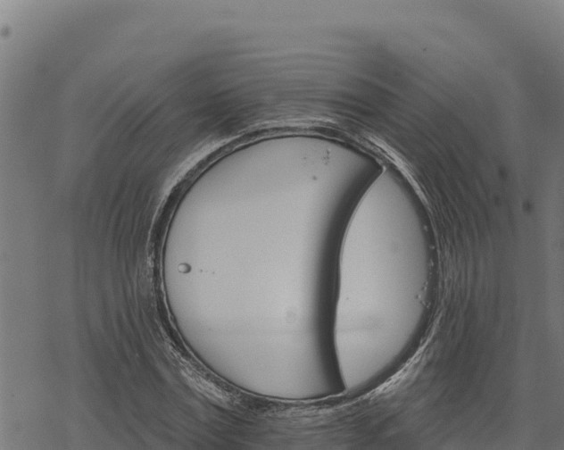 X0000068820779200605121315