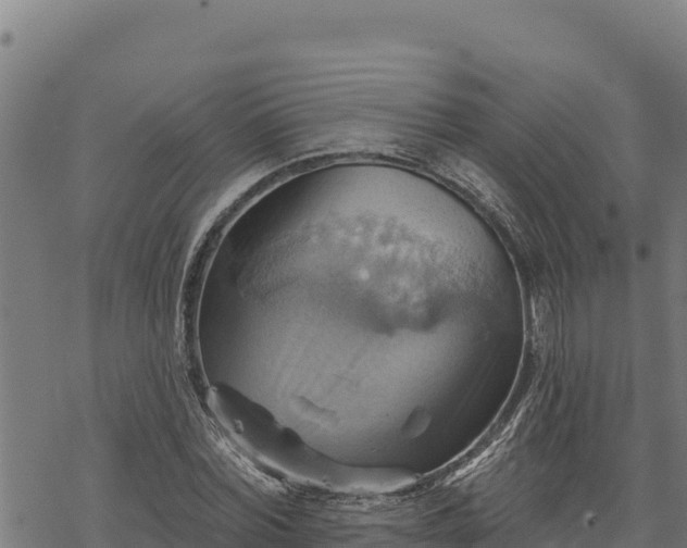 X0000068820780200605121315