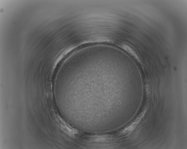 X0000068820781200605121315