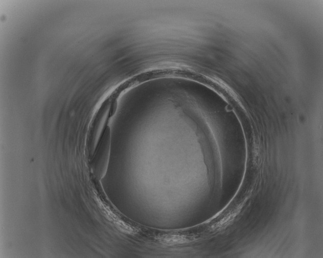 X0000068820783200605121315