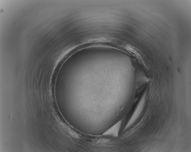 X0000068820784200605121315