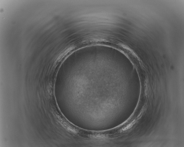 X0000068820785200605121315