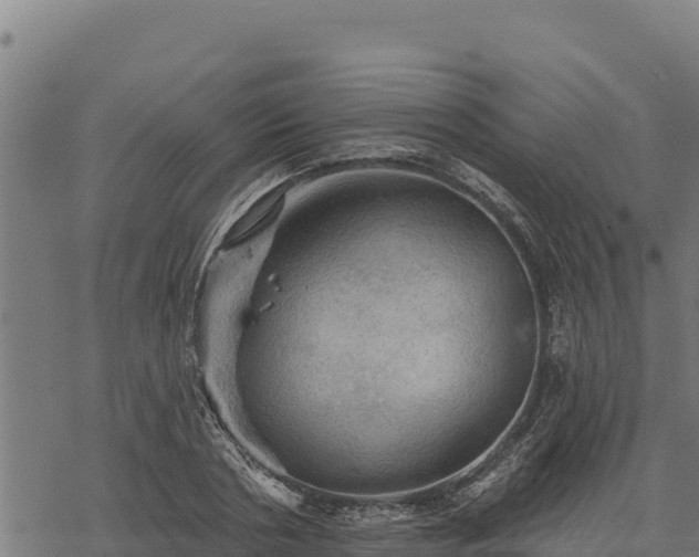 X0000068820786200605121315