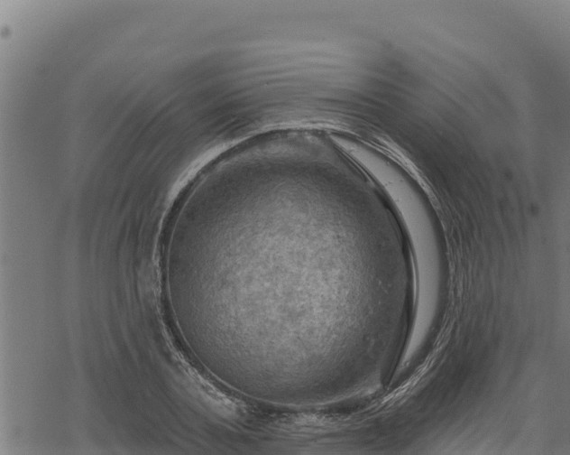 X0000068820787200605121314