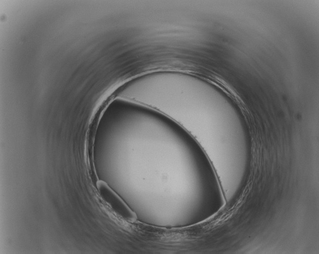 X0000068820788200605121314