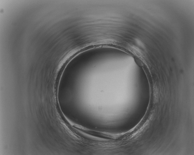 X0000068820789200605121314