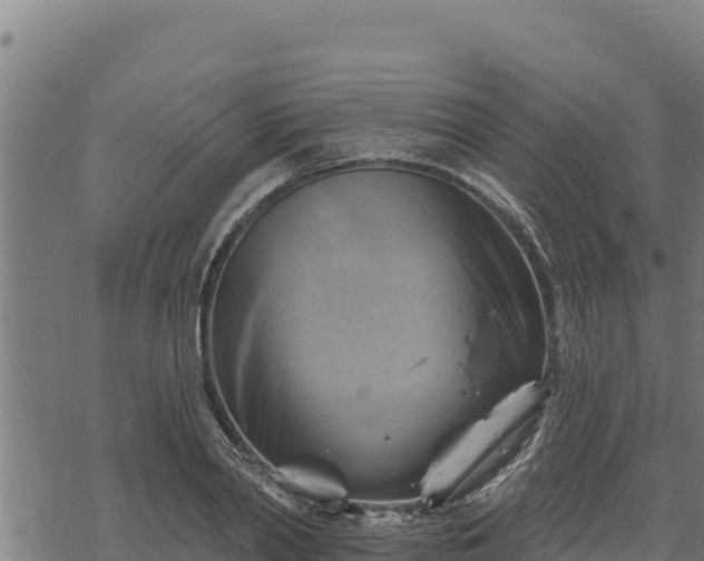 X0000068820790200605121314