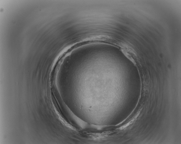 X0000068820792200605121314