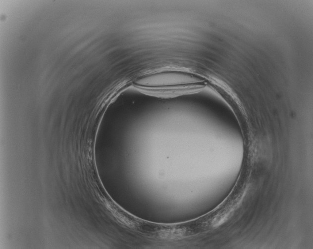 X0000068820793200605121314