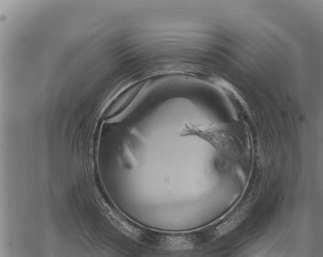 X0000068820794200605121314