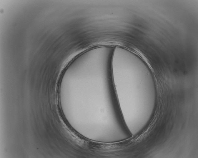 X0000068820795200605121314