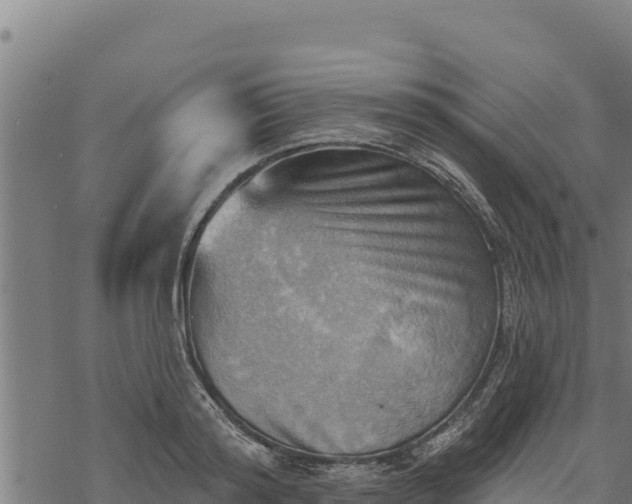 X0000068820796200605121314