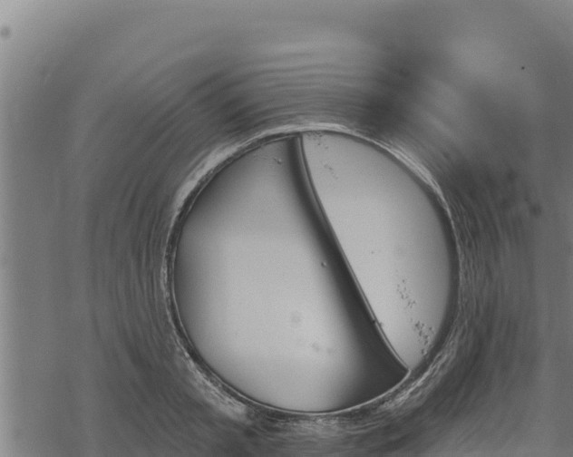 X0000068820797200605121314