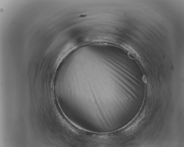 X0000068820798200605121314