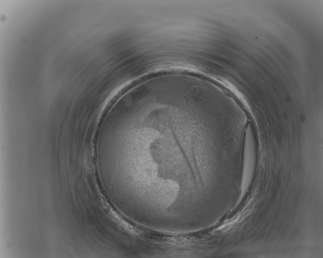 X0000068820799200605121314