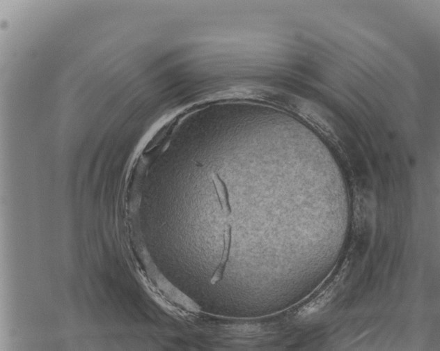 X0000068820800200605121314