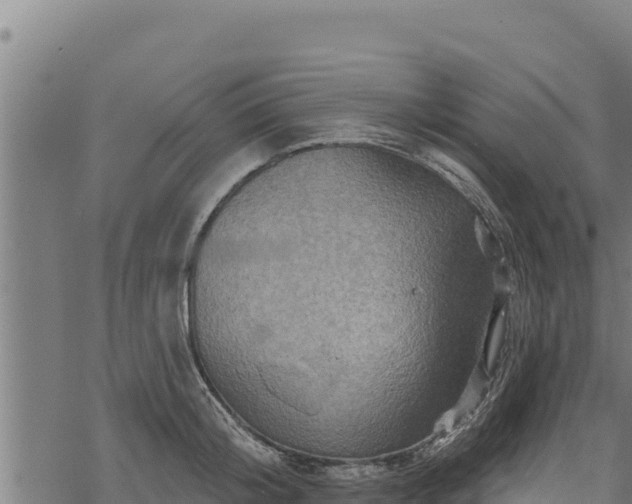 X0000068820804200605121314