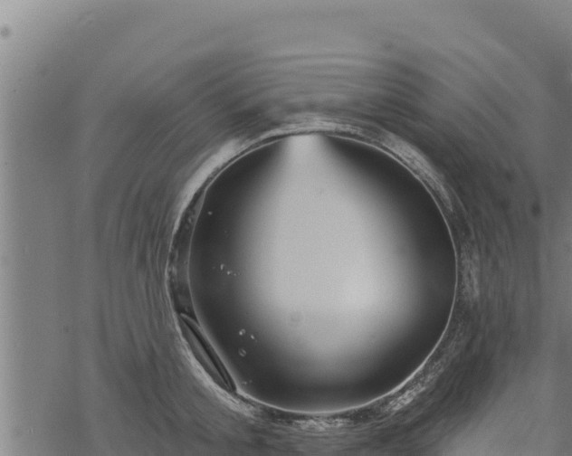 X0000068820805200605121314